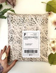 Dragonfly Wing Polymailers